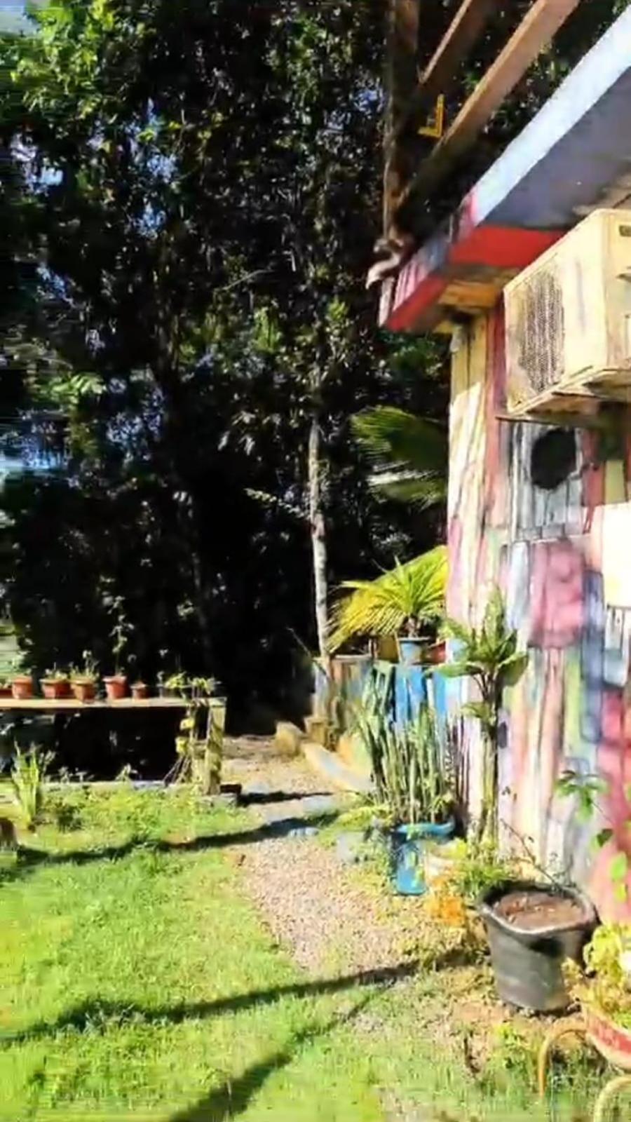 A Figueira Sagrada - Hostel Morro de São Paulo Exteriér fotografie